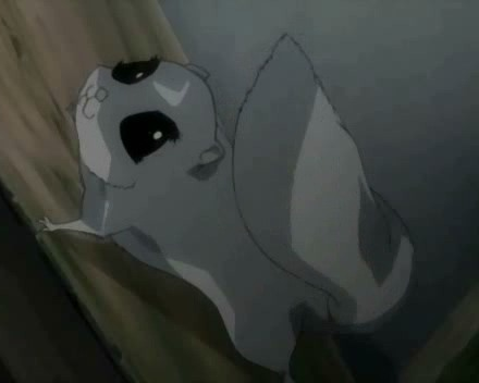 Momo's Dog — Anime