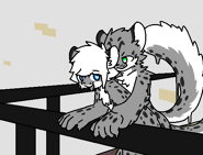 Snow Leopards | Changed Wiki | Fandom