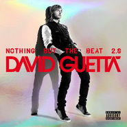 Nothing But The Beat (2011-2013)