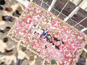 Ayase on a flowerbed