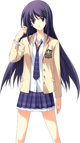 School Uniform