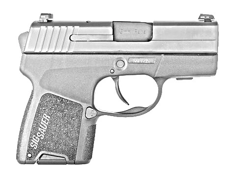 SIG Sauer P290 | CHAOSRPG Wiki | Fandom
