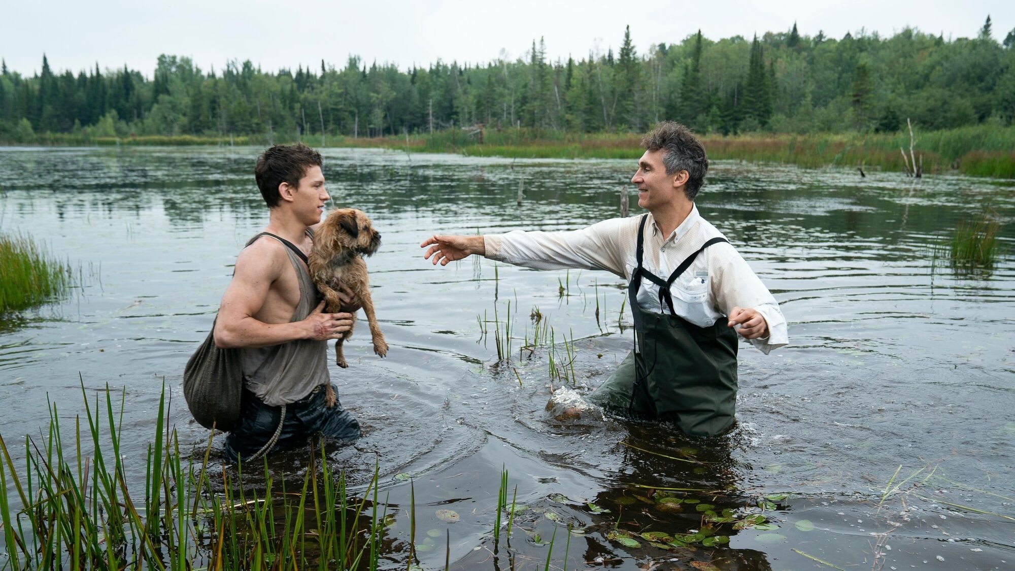 Wilf Chaos Walking Wiki Fandom Wilf Chaos Walking Wiki Fandom