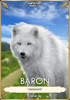 Card 4 - Baron