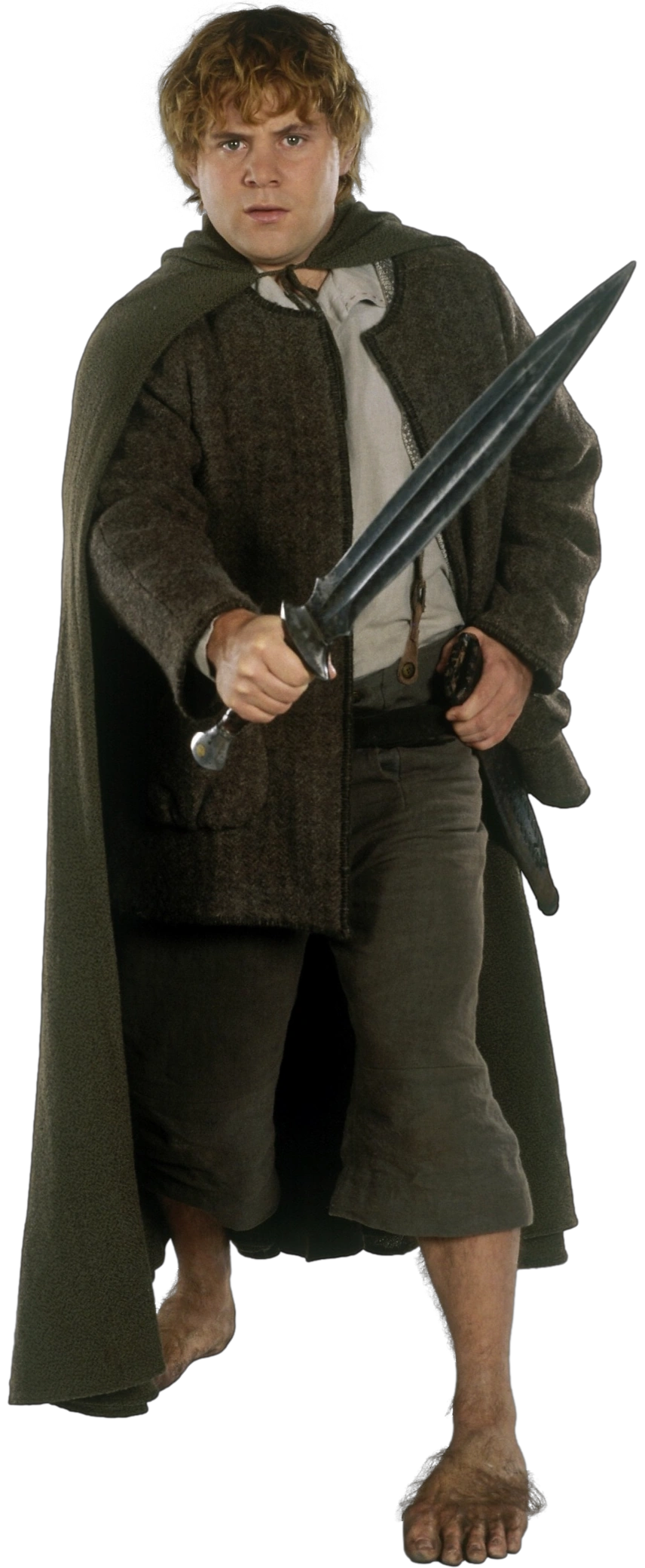 Samwise Gamgee | Charactah Account Wiki | Fandom