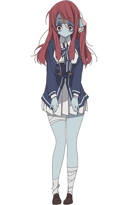 Sakura  adidas ZX 8000 