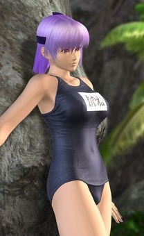 Amazon.com: Kotobukiya Dead or Alive Xtreme 2: Ayane Ani