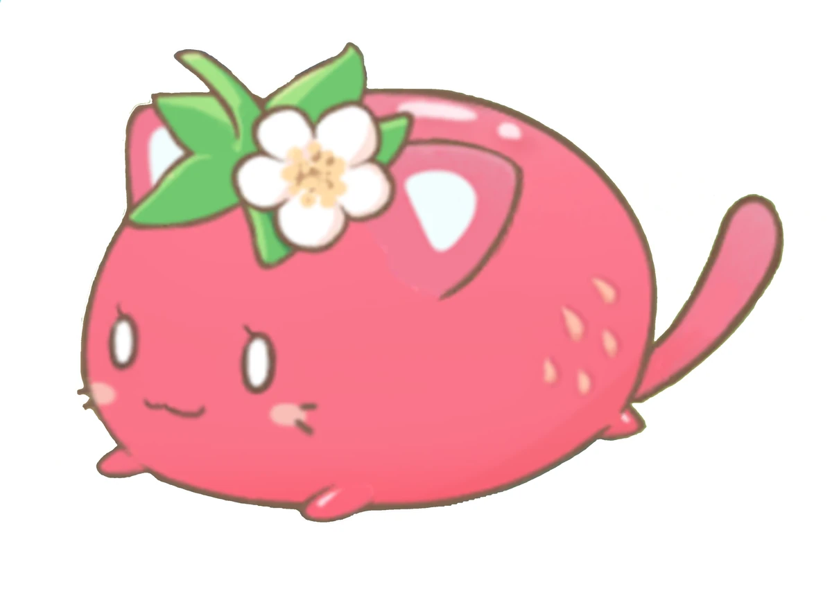 Strawberry Cat Character catalogue Wiki Fandom