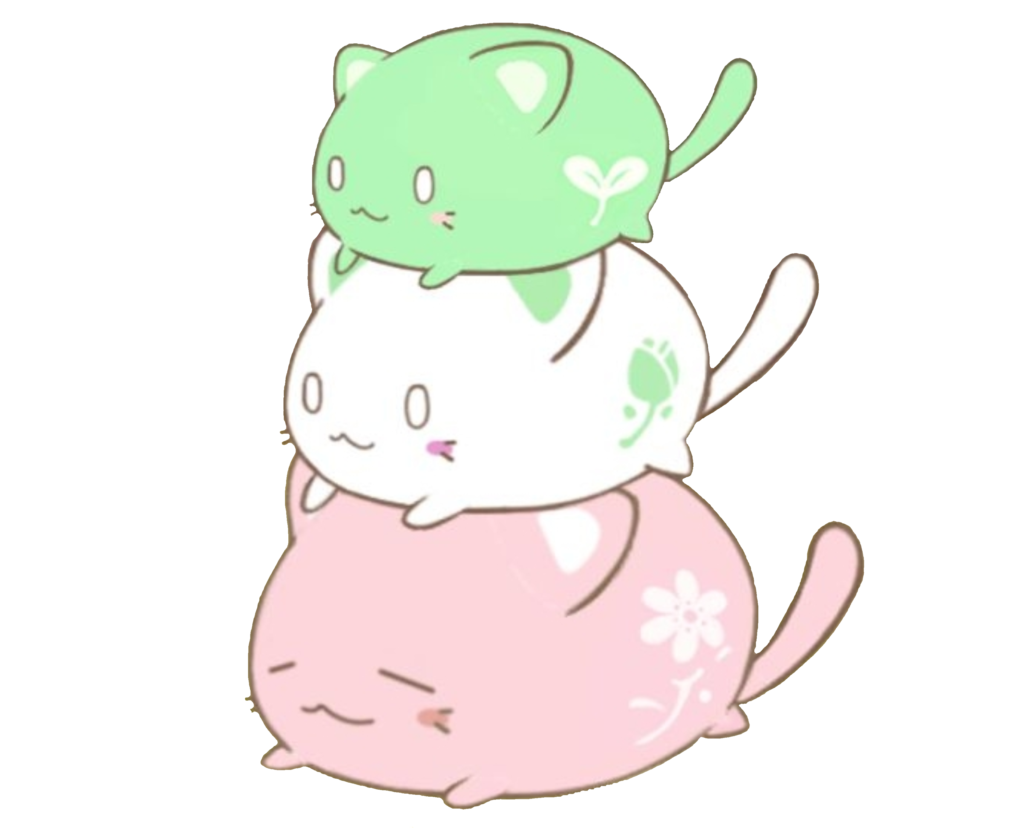 Mochimochimochi Cat Character catalogue Wiki Fandom