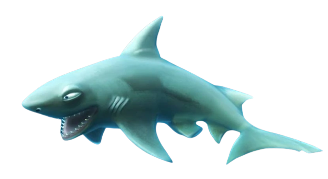 Reef Shark (Hungry Shark Evolution) | Character catalogue Wiki | Fandom
