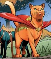 Streaky the Supercat