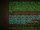 The Entities (Minecraft)