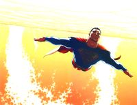 Flying into the Sun