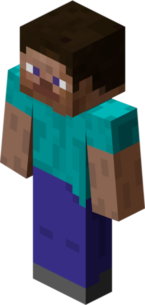 Steve