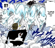 (рис.13) Падающий Волк