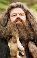 Рубеус Хагрид