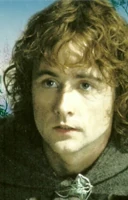 Перегрин Тук