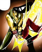 Токагеро в бокуто