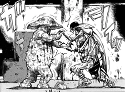 Джонсон-.jpg (165 КБ) Гигантский гриб с лицом дерется с огромным тараканом в кроссовках. Все нормально - это Dorohedoro!