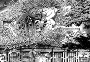 Цучигумо 8.jpg (487 КБ) Цучигумо увеличивает свой размер