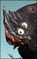 Улей ракков