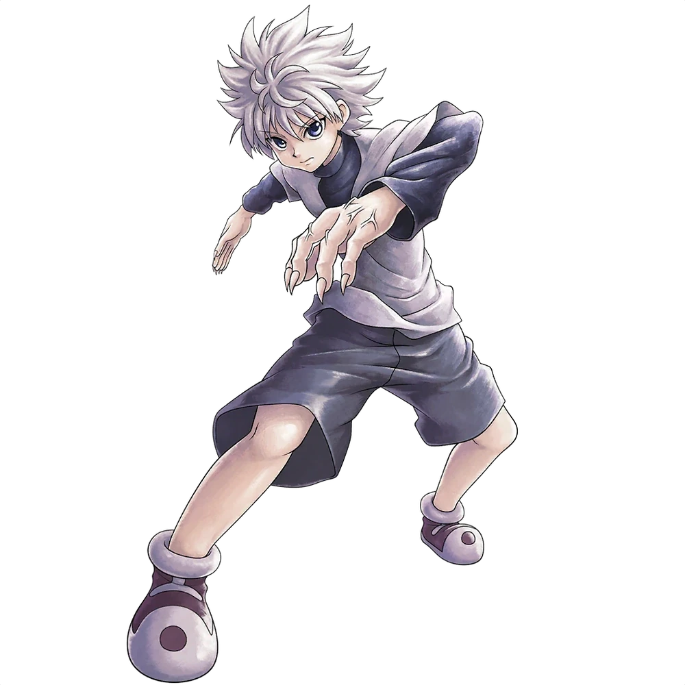 Killua Zoldyck, Professional Profile