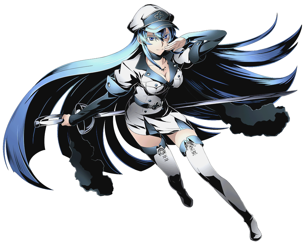 Akame ga Kill!, Character Profile Wikia