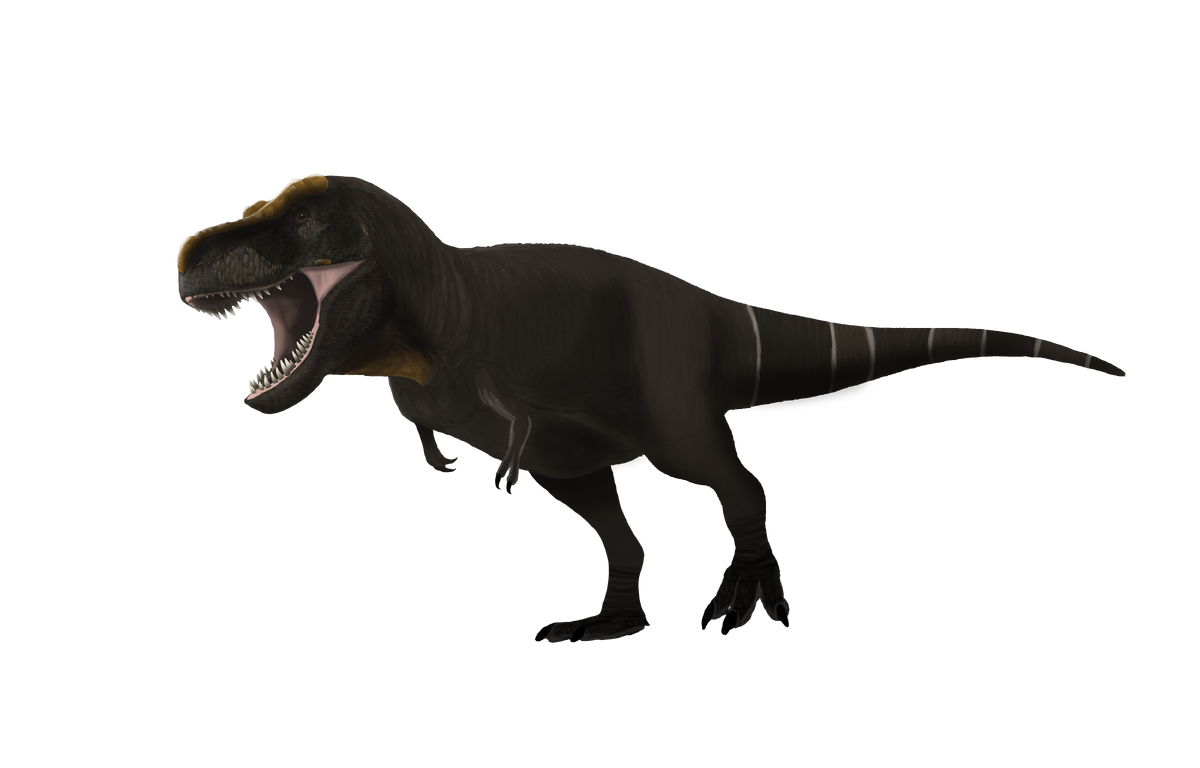 Zoologist ティラノサウルス REX 【公式通販】