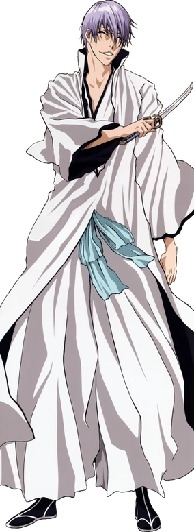 User blog:Guacamolefletcher/Gin Ichimaru profile | Character Stats