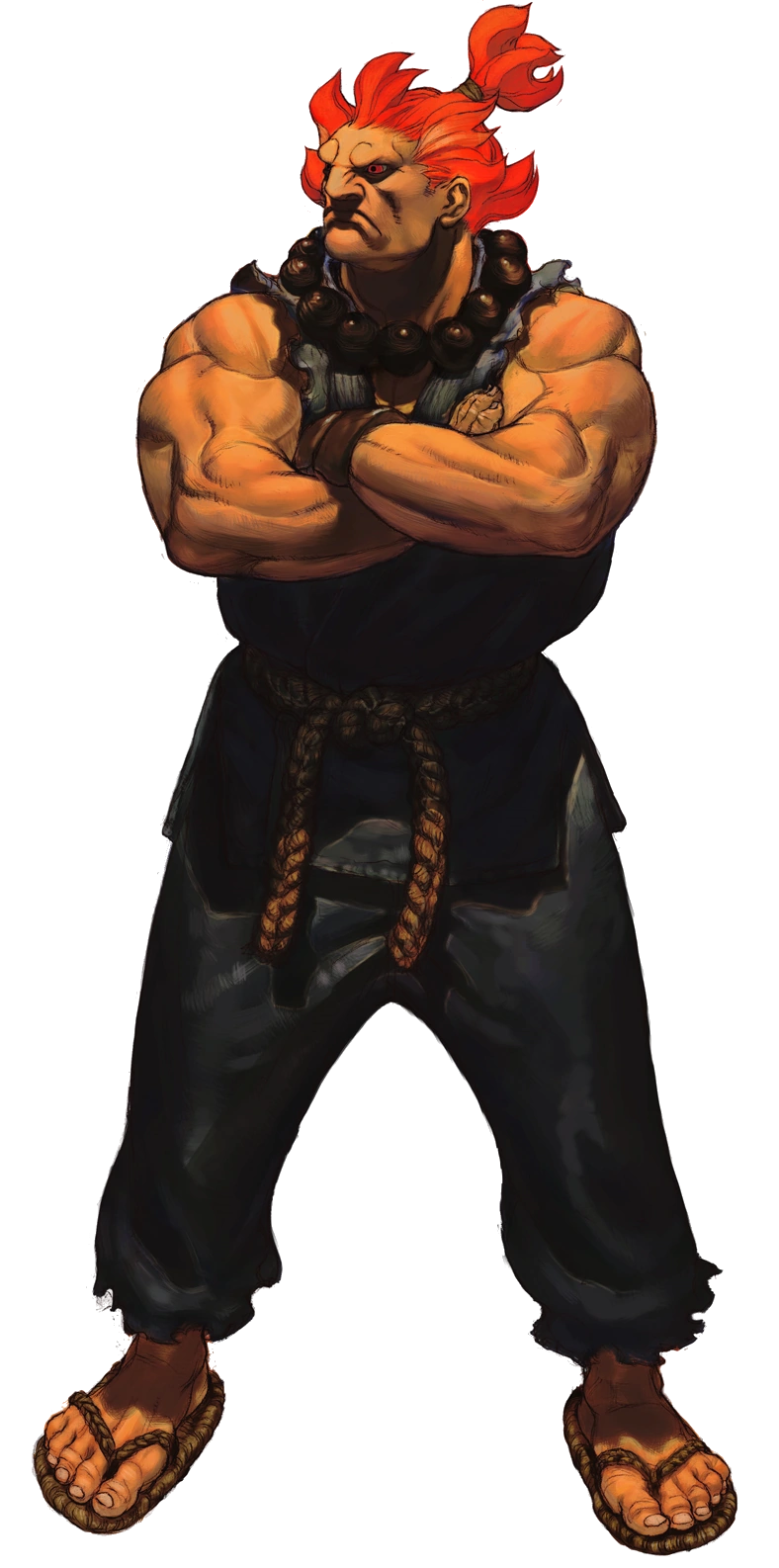 Akuma, Character Profile Wikia