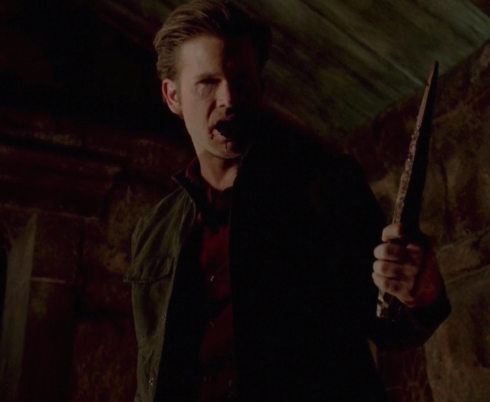 Alaric Saltzman (Canon, The Vampire Diaries)/NolramMivla, Character Stats  and Profiles Wiki