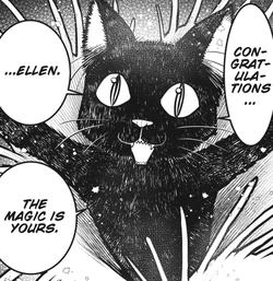 漫画   BLACK  CAT  サイン 矢吹健太朗 直筆サイン入り複製色紙「BLACK CAT」