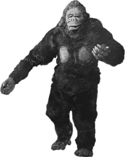 King Kong (Canon, King Kong vs. Godzilla)/Heisei Anguirus