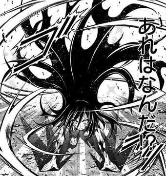 メダカ百華Vol.16先行予約受付開始 | FUJIYAMAめだかのブログ