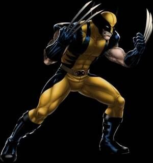 Fullstack Wolverine. All stats MAXed. Best Character in Midnight