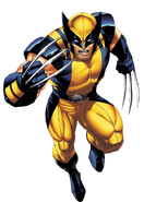 Wolverine.png