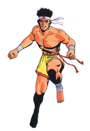 Joe Higashi (Canon, Fatal Fury)/Unbacked0 | Character Stats and ...