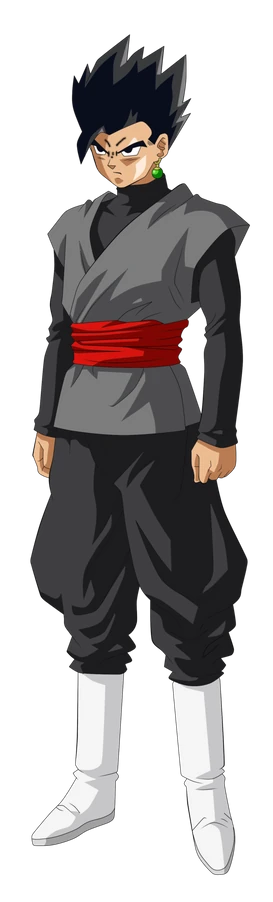 Gohan Black (Canon)/KaaydoManic | Character Stats and