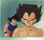 A cel of Goku and Vegeta