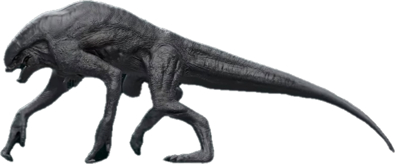D_rex_png_1.png
