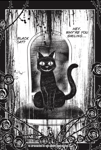 漫画   BLACK  CAT  サイン Amazon.co.jp: 矢吹健太朗BLACKCATブラックキャット 複製原画