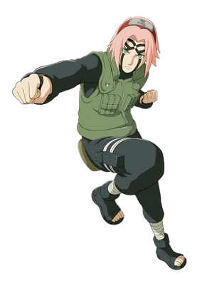Canon - sakura Naruto Sakura Haruno N-419 