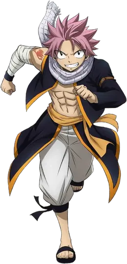 のり natsu Nendoroid Natsu Dragneel (Fairy Tail Final Season)