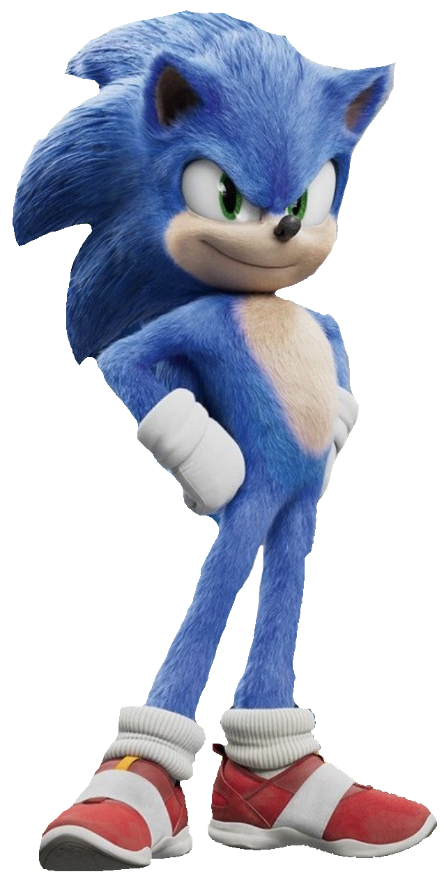 Sonic The Hedgehog Canon 2020 Movierainbowdashswagger Character