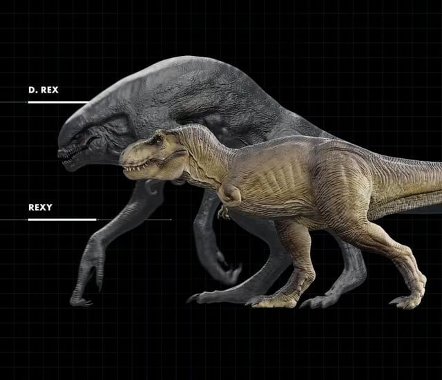 JWR_Size_1.jpg