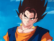 A cel of Vegetto