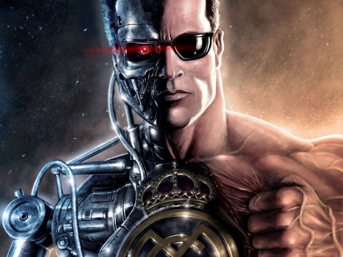 376075 terminator kiborg arnold 2560x1920 www-gdefon-ru