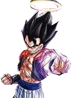 Gogeta (Canon)/GokuBlacksolosyourverse