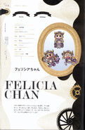 Felicia-chan in the Magia Record Archive Volume 2.