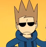 Tord (Canon, Eddsworld)/Yapmaci1234, Character Stats and Profiles Wiki